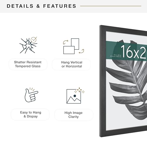 MCS Studio Gallery 16x20 Poster Frame Black Woodgrain Engineered Wood, Vertical & Horizontal Wall Hanging Large Picture Fr...