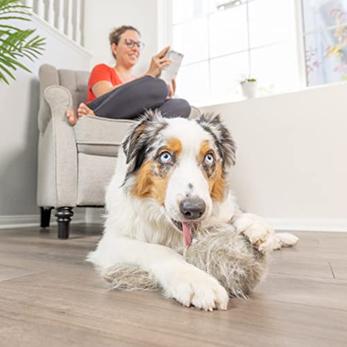 Hyper Pet Doggie Tail Interactive Plush Automatic Dog Toys, Durable, Wiggles, Vibrates, and Barks, Batteries Included, for...