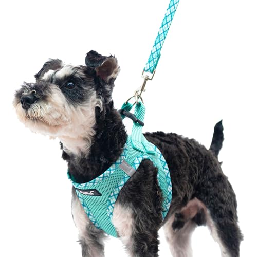 PUPTECK Dog Harness and Leash Set for Small Medium Dogs No Pull Step-in Soft Mesh Puppy Cat Vest Harnesses Reflective at N...