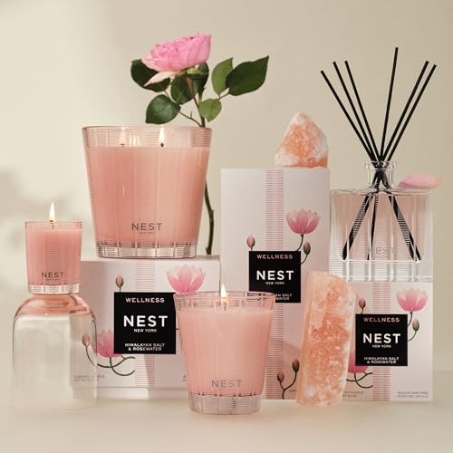 NEST New York Scented Classic Candle, Himalayan Salt & Rosewater - 8.1 oz - Up to 60-Hour Burn Time - Reusable Glass Vessel