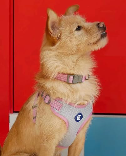 Blueberry Pet Essentials Back to Basics Reflective Dog Harness Vest, Mauve Orchid, Medium, Adjustable Harnesses for Dogs