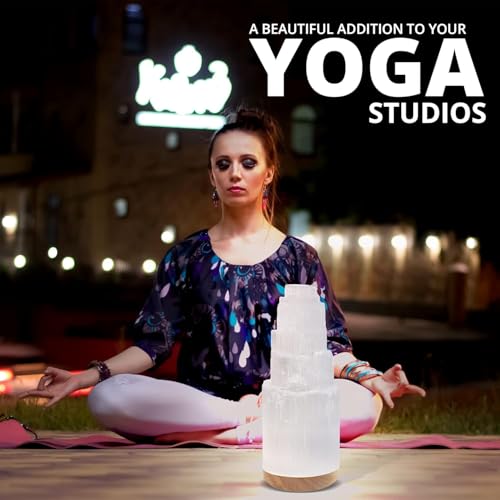 Salt Range Selenite Crystal Lamp 20cm with Wooden Base, USB Powered Natural White Selenite Stone Night Light for Bedroom, ...