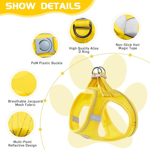 HIHANHAN Soft Mesh Dog Harness and Leash Set, No Pull Puppy Harness and Leash Set, Reflective Step in Harness for Small Me...