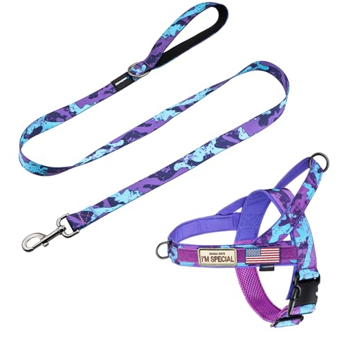 Annchwool No Pull Dog Harness with Padded Handle+5 Ft Leash,Escape Proof and Quick Fit to Adjust Dog Harness,Easy for Trai...