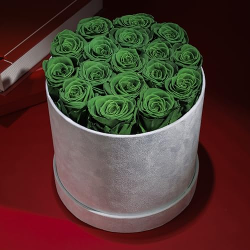 Prifroti 17 Flowers in a Luxury Suede Box, Birthday Gifts for Women, Preserved Flowers, Mothers Day Roses Gift for Mom, Da...