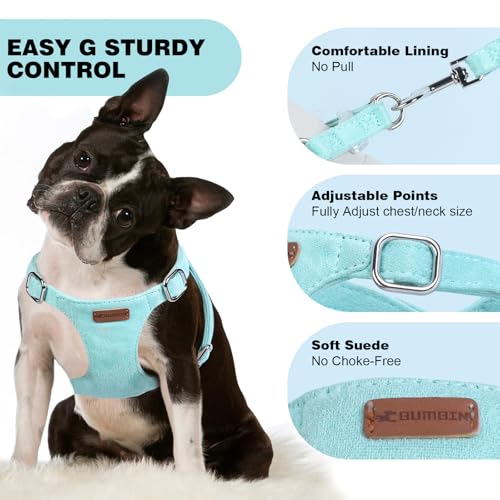 Dog Harness and Leash Set, XXS No Pull Adjustable Puppy Harness with Multifunction Pink Dog Leash and Dog Collar, Soft No ...