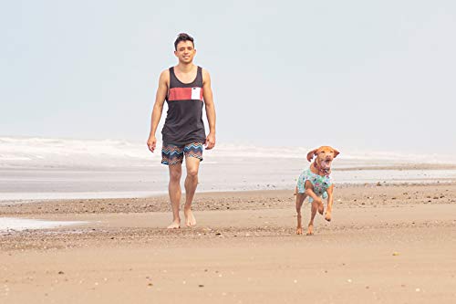 RC Pet Products Zephyr Cooling Dog Vest, Cooling Dog Coat, Medium, Ice Blue