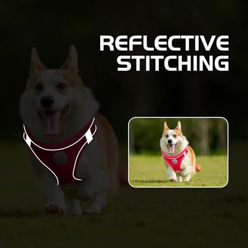 HIHANHAN Soft Mesh Dog Harness and Leash Set, No Pull Puppy Harness and Leash Set, Reflective Step in Harness for Small Me...
