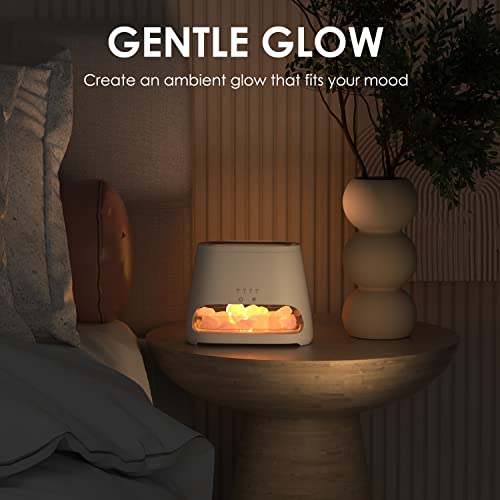 SALKING 2-in-1 Himalayan Salt Lamp & Ultrasonic Essential Oil Diffuser, Aromatherapy Diffuser Cool Mist Humidifier, Origin...