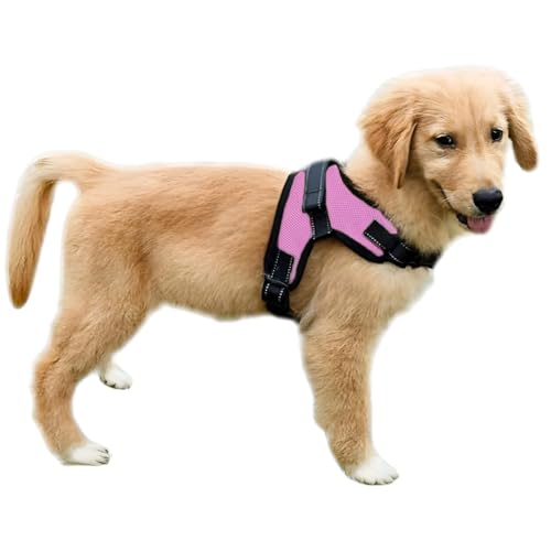 Copatchy No Pull Reflective Adjustable Dog Harness with Handle- Comfortable Soft All Weather Mesh, Easy On Puppy Harness f...