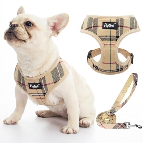 PUPTECK Soft Mesh Dog Harness Small Sized and Leash Set Pet Puppy Cat Comfort Padded Vest No Pull Harnesses, Beige, S