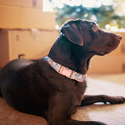 HSIGIO Dog Collar and Leash Set Girls Adjustable Puppy Collars with Floral Bow Tie for Small Medium Large Female Dogs, Ora...
