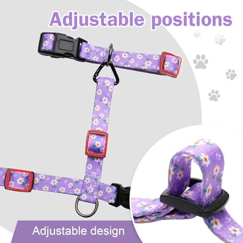 Hikiko Cat Harness and Leash Set Escape Proof Adjustable Walking Travel Cute Girl Kitten Harness for Small Medium Large Ca...