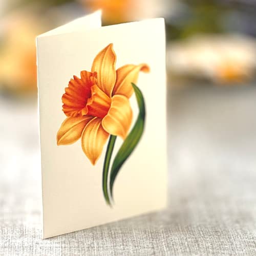 Freshcut Paper Pop Up Cards, English Daffodils, 12 Inch Life Sized Forever Flower Bouquet 3D Popup Greeting Card, Birthday...