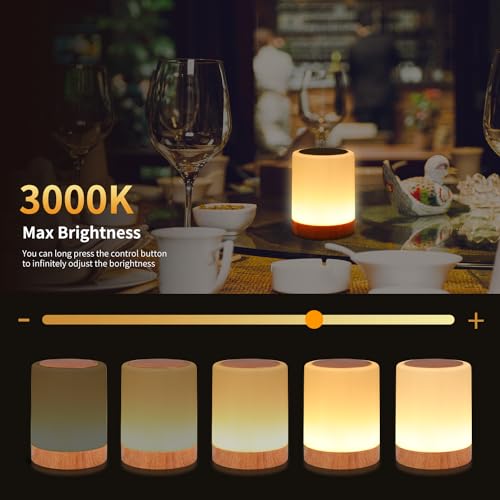 OORUN Touch Bedside Table Lamp,13 RGB Colors & 5 Brightness, USB Rechargeable Desk Lamp, Remote Control Dimmable Night Lig...