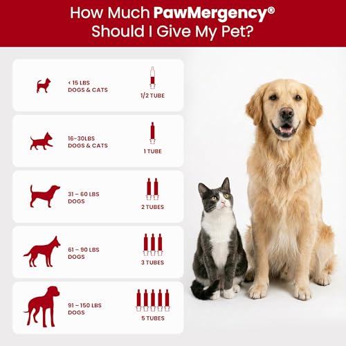 PawMergency – Activated Charcoal First Aid Kit Emergency Rescue for Dogs, Cats, Puppy & Pet Poison Kit, Camping Survival R...