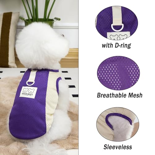 PAIDEFUL Breathable Mesh T-Shirt for Small Dogs Summer Doggie Cool Vest Soft Lightweight Puppy Tee Shirts Sleeveless Pet T...
