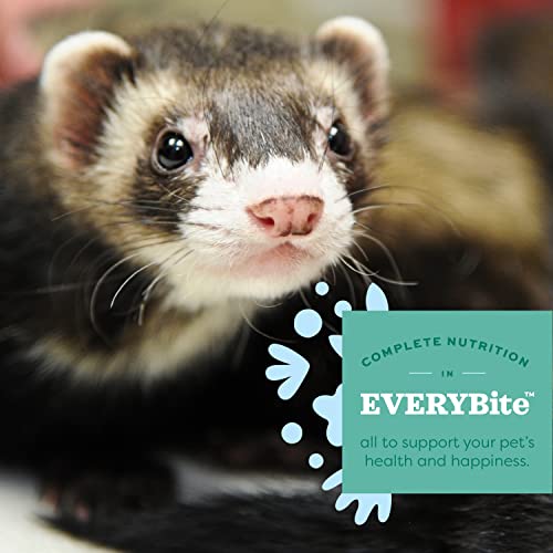 Oxbow Essentials Ferret Food, Vitamin & Mineral Rich Formula for Ferret, High Protein Food & High Fat, Small Animal Pet Pr...