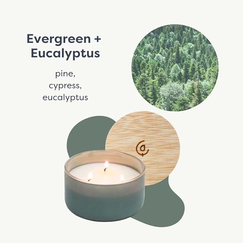 Calyan Wax Co. Evergreen & Eucalyptu 3 Wick Scented Candle - 30 Hour Burn - Luxury 3 Wick Soy Candles - Clean Soy Wax Cand...