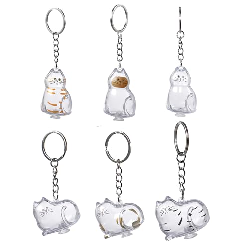 BTYYIHEX 6 Pcs Cat Hair Keepsake Keychains – 2025 New Memorial Capsule Pendants, Fur Holder Bottles for Cat Lovers, Though...
