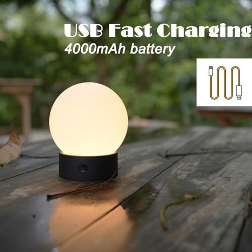 WEILAILUX Small Cute Cordless Table Lamp Rechargeable, Battery Operated Shower Lamp Waterproof, Touch Dimmable Globe Ambie...