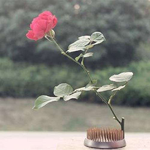 JapanBargain 3149, Japanese Ikebana Kenzan Flower Frog for Flower Arrangements Brass Floral Arranging Pin Needle Holder Ma...