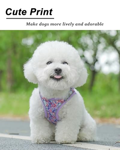 JUFOO M Light Purple Flower Pattern Dog Harness and Leash Set,No Escape Puppy Harnesses for Training Walking，Breathable Ad...