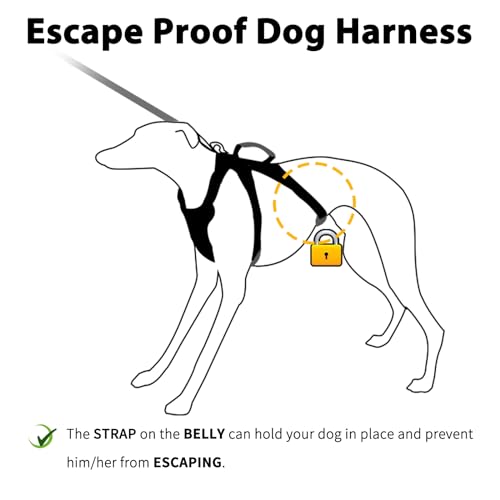 Huntboo Escape Proof Dog Harness, Escape Artist Harness, Fully Reflective Harness with Padded Handle, Breathable,Durable, ...