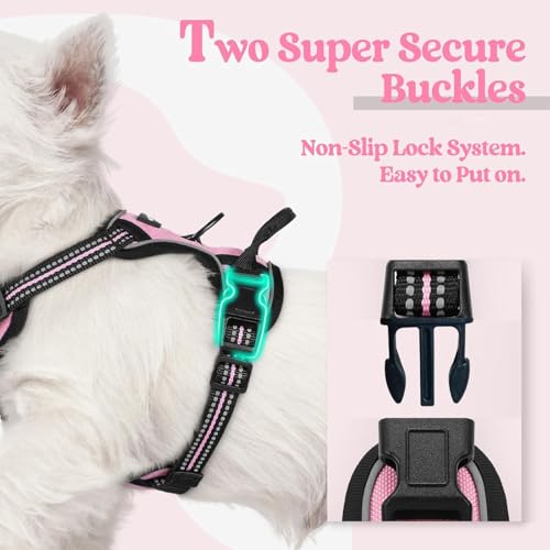 Dog Harness and Leash Set,Eflective and Breathable Pet Harness, Adjustable Comfortable Soft Padded Vest Harness Easy Contr...