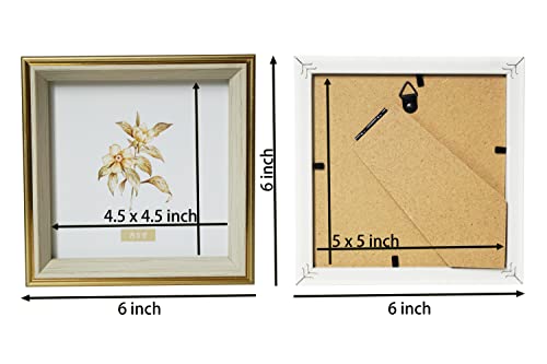 PLUSCHEN 5x5 Blue Beige Square Picture Frame, 5x5 Resin Photo Frame, Wall and Desktop Display Picture Frame, Plexiglass