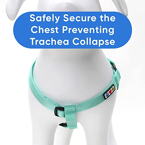 Pawtitas Solid Step-in Dog Harness – Adjustable No-Pull Vest for Puppies to Seniors, Safe & Comfortable S Teal