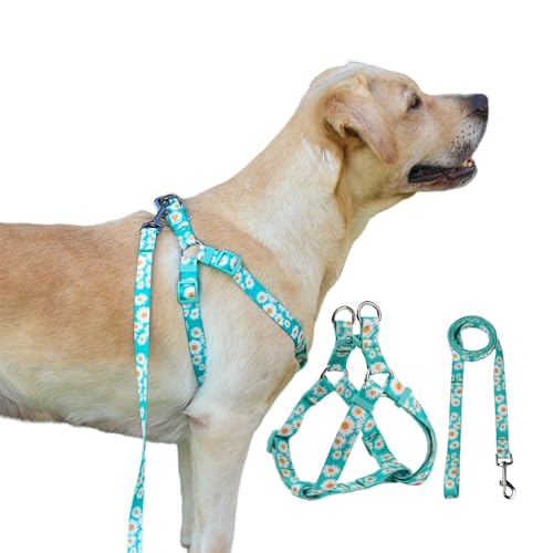 Olahibi Harness and Leash Set, Floral Pattern, 5ft Matching Leash, No Pull, Easy Wear for Small Dogs.(S, Green Daisy)