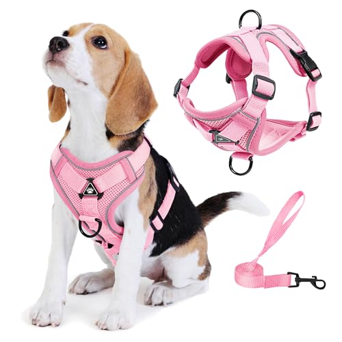 Jolifield No Pull Dog Harness with Leash Set for Small Sized Dog, Reflective Adjustable No Choke Front Clip Cat Vest Harne...