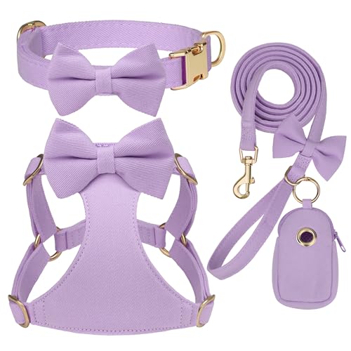 Beirui Adorable Small Dog Harness Collar and Leash Set,Cute Puppy Harness Set with 3 Bows for Small Dogs,Shih Tzu,Dachshun...