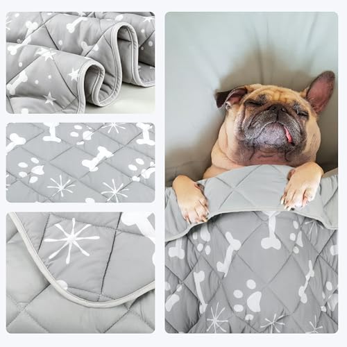 wegreeco Pet Dog Cooling Mat for Cats, Lightweight Bed Outdoor Cooling Blanket for Dogs and Cats, Small Medium Large Puppy...