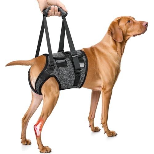 SlowTon Dog Lift Harness - Adjustable Dog Sling for Medium Large Dogs, Hind Leg Support to Help Rehabilitate, Soft Padded ...