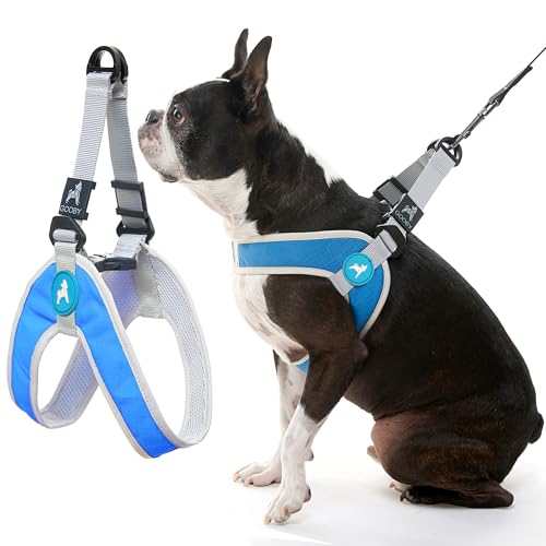Gooby Simple Step in III Harness - Blue, Small - Small Dog Harness with Scratch Resistant Outer Vest - Soft Inner Mesh Har...