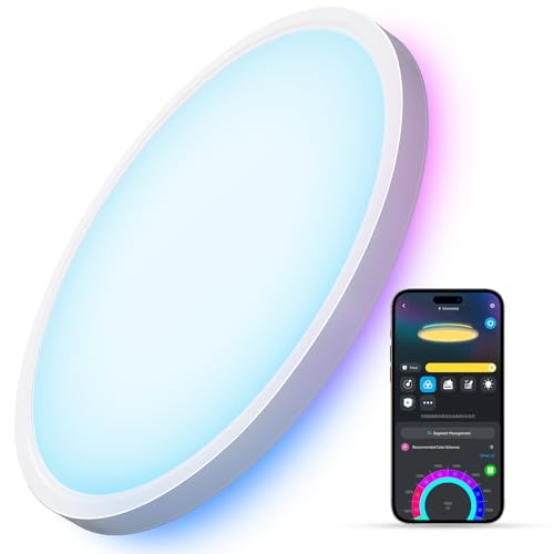 Govee Smart Ceiling Light, RGBIC LED Ceiling Light Fixture, 2400LM Flush Mount Light Fixture, DIY Colors, Works with Alex...