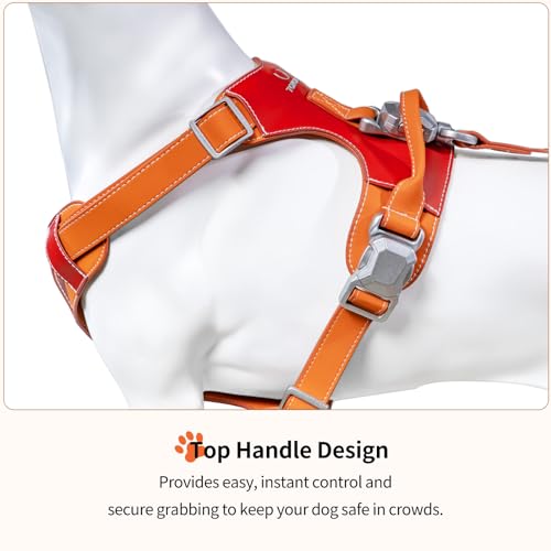Tokcam Magnetic Dog Harness and Leash Set with Quick Release Buckle, Easy On & Off Faux Leather Puppy Harness with Leash, ...