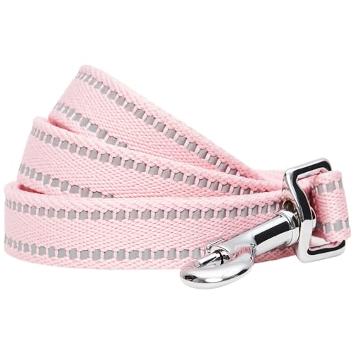 Blueberry Pet Matching Reflective Harness and Leash Set | Adjustable Pastel Vest with Lead for Dogs – Great Value Gift Set...