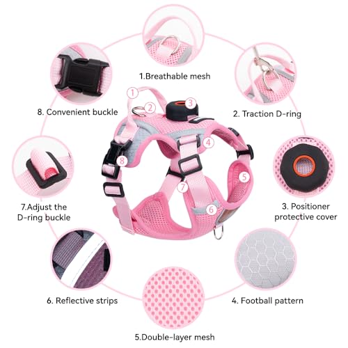 Cat Harness and Leash Set with AirTag Holder: Upgraded Escape Proof Vest with Lead for Small Dog Puppy Large Cat Walking，S...
