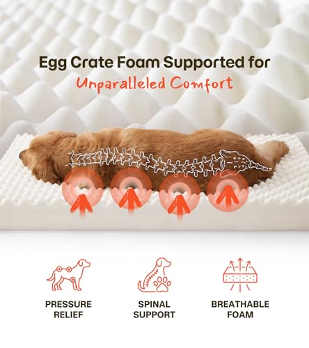 Wagora Dog Bed for Crate, Extra Large Cooling Mat for Dogs, Waterproof Dog Bed with Dual Surface Removable Washable Cover...