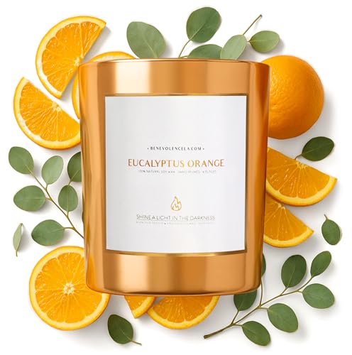 Benevolence LA Eucalyptus Orange Wood Wick Candles | Soy Christmas Scented Candles for Home | Holiday Candle Gifts for Wom...