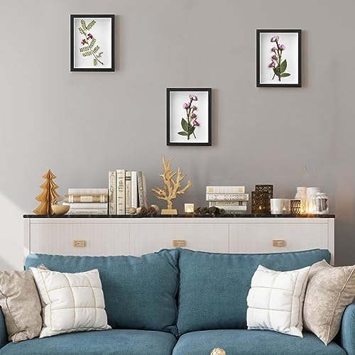Hacaroa Set of 4 Shadow Box Picture Frame, 8 x 6 Inches Wood Frame Memory Display Case, 1.2 Inch Depth Shadow Boxes for Fl...