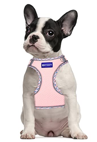BTDCFY Step in Mesh Dog Harness and Leash Set - Breathable Air Mesh Reflective Escape Proof Vest - No Choke, Lightweight
