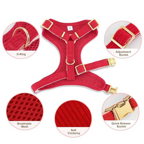 Didog Cute Small Dog Harness Collar and Leash Set with Bowtie, Breathable Soft Mesh Padded Puppy Harness, Christmas Dog Ha...