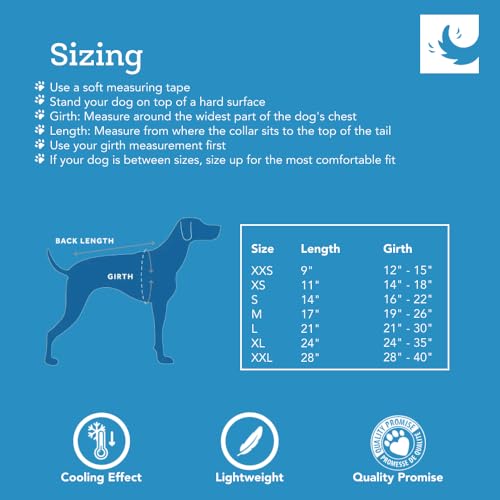 RC Pet Products Zephyr Cooling Vest, Extra Extra Small, Aqua (XX-Small, Aqua)