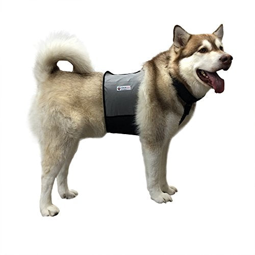 CoolerDog Dog Cooling Vest & Cooling Collar – Ice Vest for Hot Weather Heat Relief, Re-Freezable Pure Water Inserts (Large...