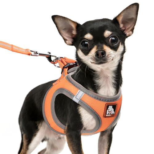 Dog Harness Medium Sized Dogs, Puppy Harness and Leash Set for Training, Running, Walking, Suitable for Small and Medium D...