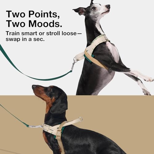 VETRESKA Dog Harness and Leash Set, Easy Walk Dog Harness for Large Medium Dogs, No Pull Puppy Harness for Walking and Tra...